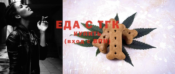 дживик Краснослободск