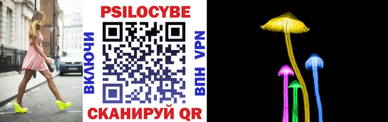 Галлюциногенные грибы Psilocybe  Купить  Пойковский 