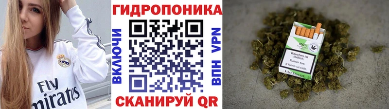 Купить где  Пойковский  Канабис конопля 